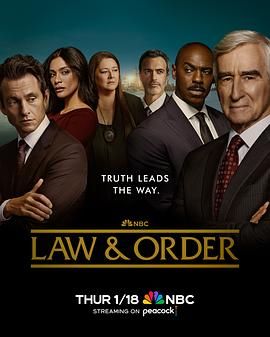 法律与秩序 第二十三季第12集
