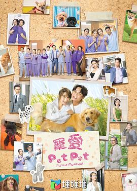 宠爱PetPet粤语第12集