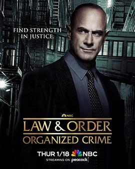 法律与秩序：组织犯罪第四季第02集