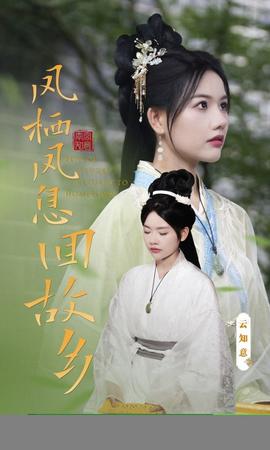 凤栖凤息回故乡全集(大结局)