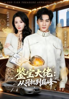 鉴宝大佬： 从司机到巅峰(全集)