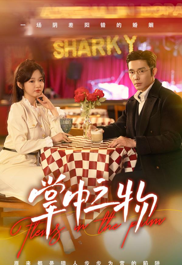 掌中之物第01集